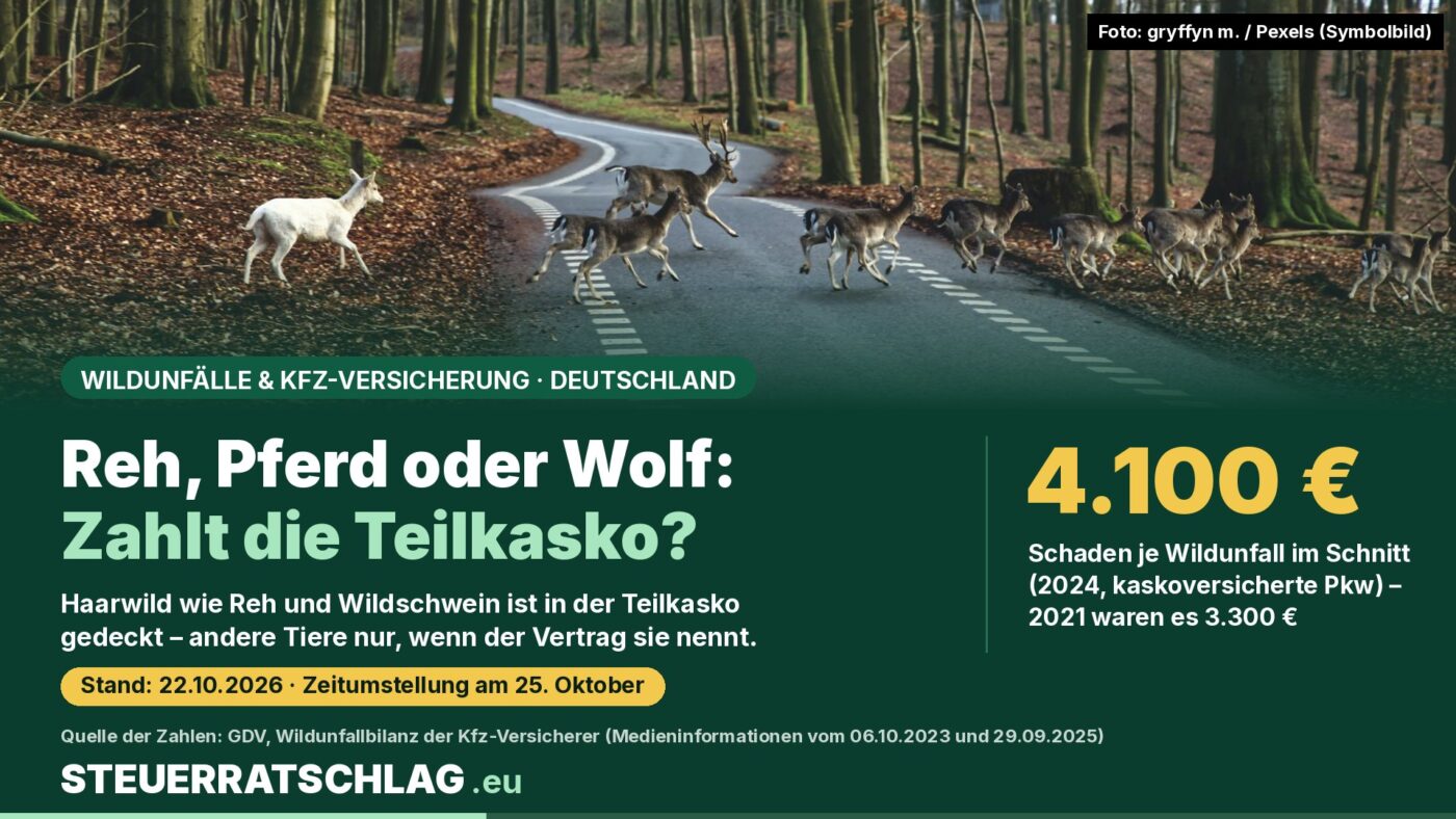 Infografik: Damwild quert eine Waldstraße. Text: Reh, Pferd oder Wolf: Zahlt die Teilkasko? Durchschnittlicher Schaden je Wildunfall 2024: 4.100 Euro, 2021: 3.300 Euro. Quelle: GDV.
