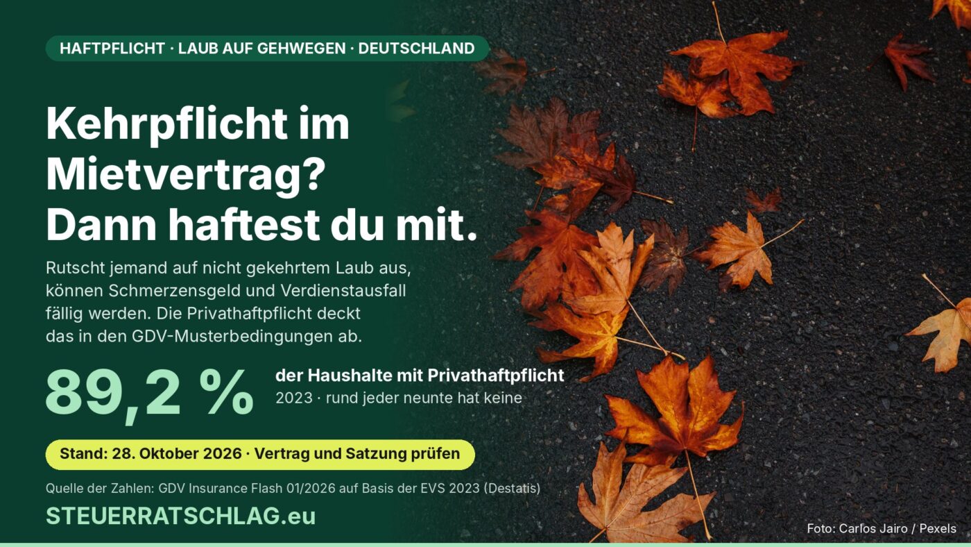 Infografik: Herbstlaub auf nassem Asphalt, daneben der Hinweis, dass 89,2 Prozent der Haushalte in Deutschland 2023 eine Privathaftpflicht hatten.