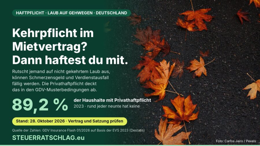 Infografik: Herbstlaub auf nassem Asphalt, daneben der Hinweis, dass 89,2 Prozent der Haushalte in Deutschland 2023 eine Privathaftpflicht hatten.