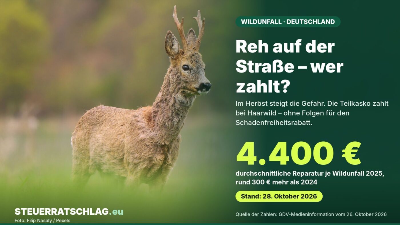 Infografik: Rehbock auf einer Wiese, dazu der Text: Reh auf der Straße – wer zahlt? Die Teilkasko zahlt bei Haarwild, ohne Folgen für den Schadenfreiheitsrabatt. Durchschnittliche Reparatur je Wildunfall 2025 in Deutschland: 4.400 Euro.