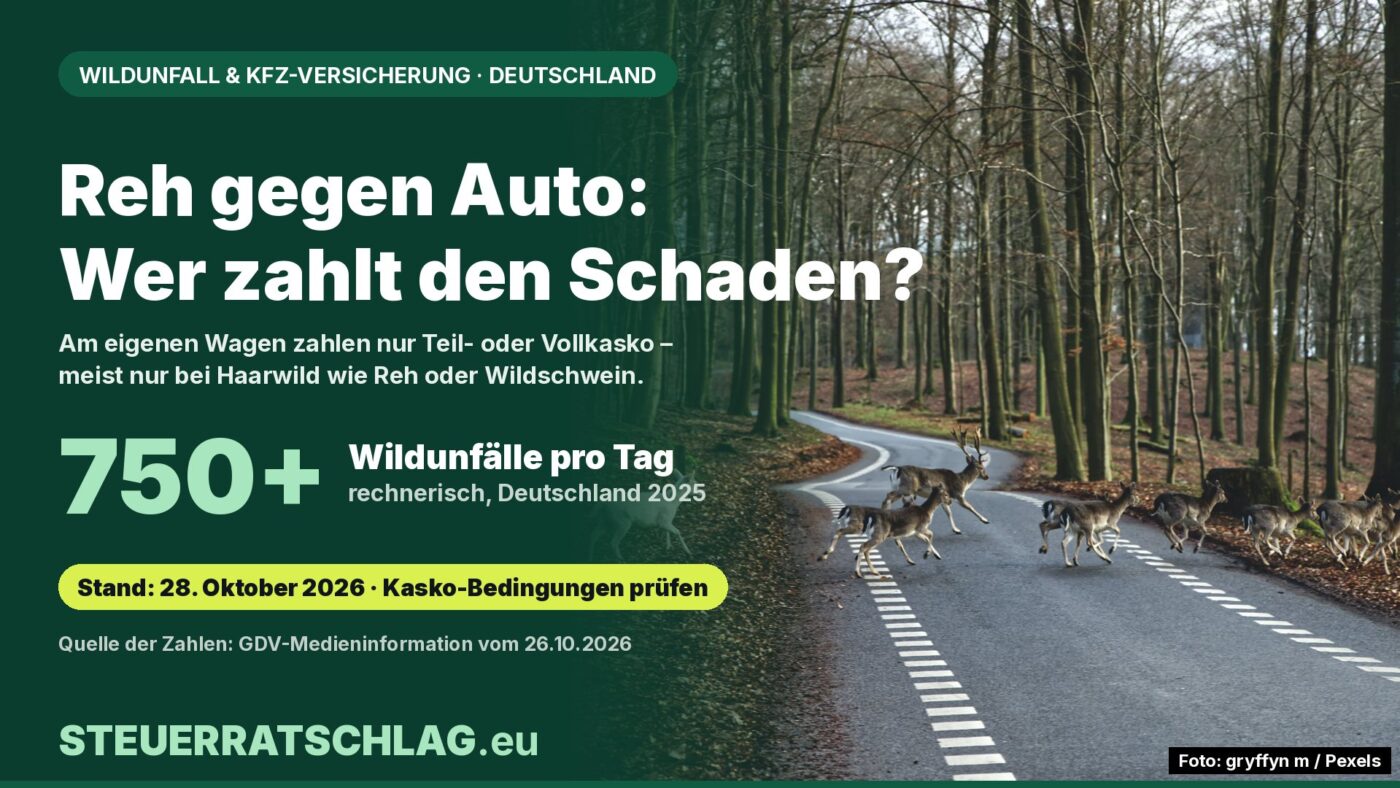 Infografik: Damwild überquert eine Waldstraße im Herbst; Text: Reh gegen Auto – wer zahlt den Schaden? Über 750 Wildunfälle pro Tag in Deutschland 2025 laut GDV.