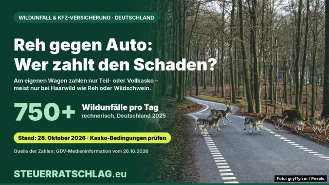 Infografik: Damwild überquert eine Waldstraße im Herbst; Text: Reh gegen Auto – wer zahlt den Schaden? Über 750 Wildunfälle pro Tag in Deutschland 2025 laut GDV.